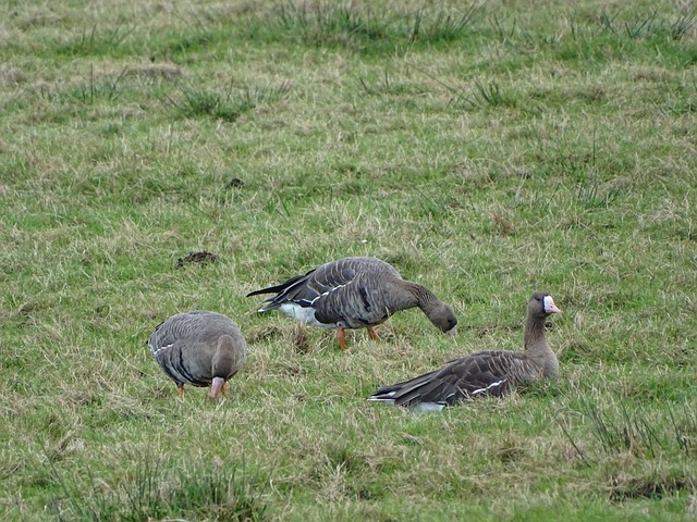 万斯喊话泽连斯基：“这是一种糟糕方式”.